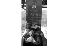 Logo for Mr. Bruce (Yuen Kam) Lee Logo for Mr. Bruce (Yuen Kam) Lee